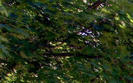 Apartments Website - Room Pictures & All About Home Design Furniture